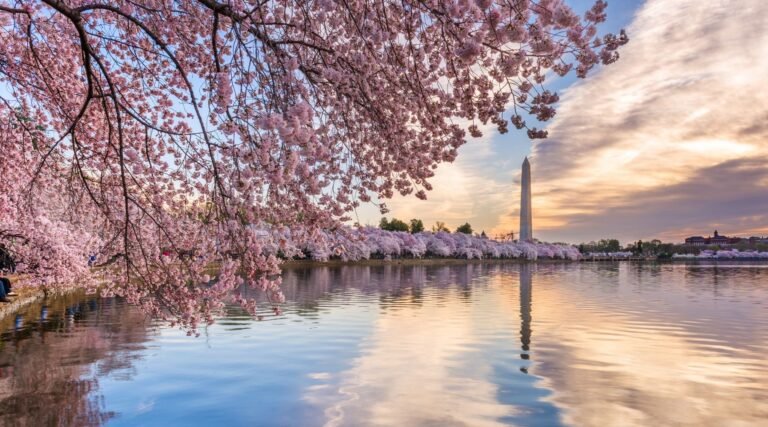 Visiting DC with Kids? Why Families Love Our Electric Cart Tours