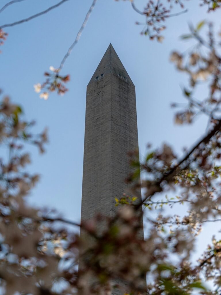 National Mall monuments at night in Washington DC guided tour