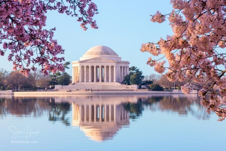 Cherry Blossom Season in DC: Best Tours to Book Early