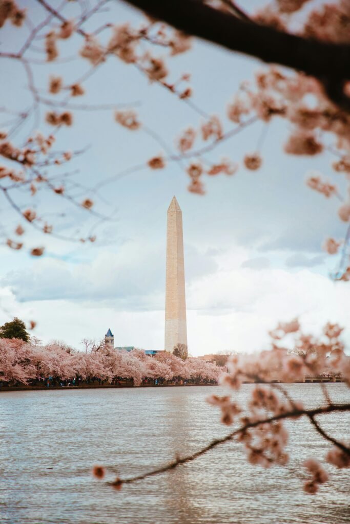 Jefferson Memorial during Cherry Blossom Season in DC
