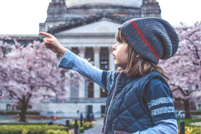 Cherry Blossoms in Washington DC 2026: Events, Peak Bloom & Best Ways to See Them