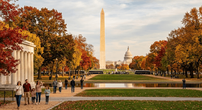 Washington DC fall foliage