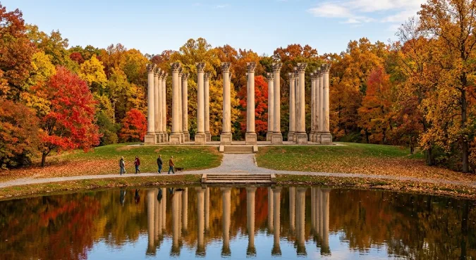 Washington DC fall foliage