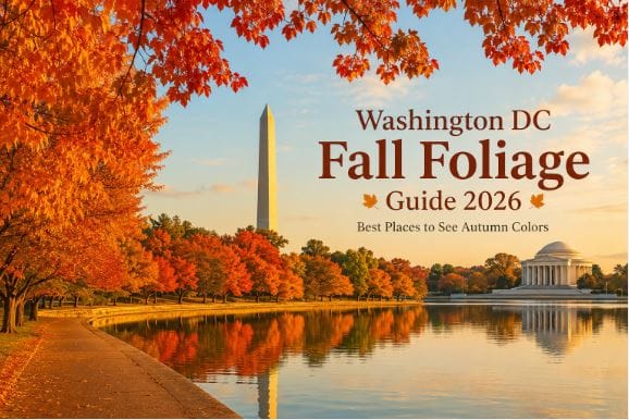 Washington DC Fall Foliage Guide 2026: Best Places to See Autumn Colors